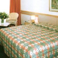 Hotel Minotel Longchamp