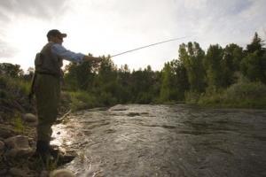 Doubletree Hotel Durango