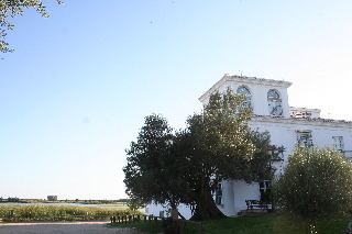 Toru�o Hotel Restaurante