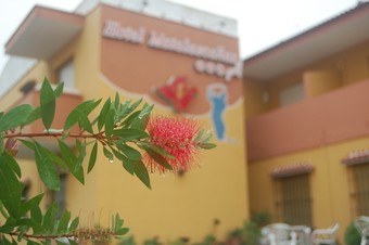 Hotel Matalasca�as