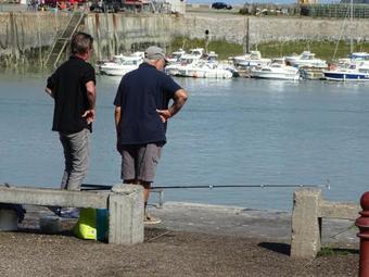 Apartamento Voiles Et Terrasses Le Treport