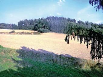 Holiday Home Thiergartener Str. T