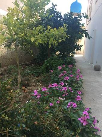 Hostal Villa Elvis Guesthouse