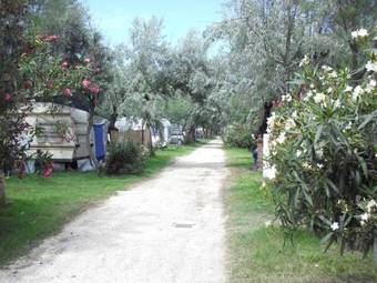 Maronda Camping