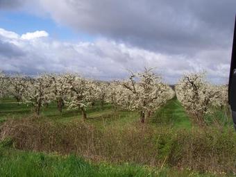 Bed & Breakfast La Foresti�re