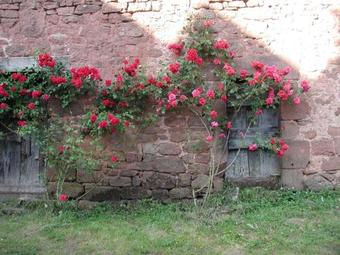 Bed & Breakfast Chambres D'h�tes La Roumec