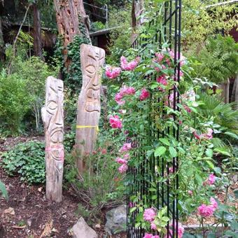 Bed & Breakfast Magnolia Petal