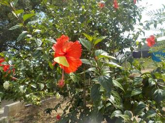 Hostal Recuerdos Del Tayrona