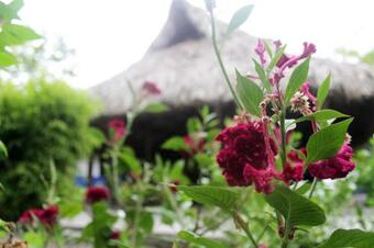 Lodge Eco Hotel Las Flores