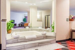 Hotel Comfort Suites