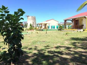 Les Palmes Du Moulin