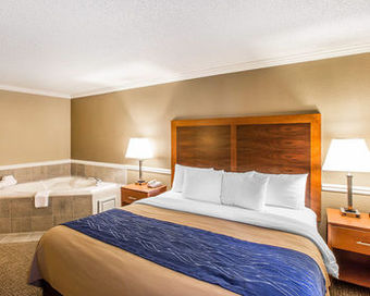 Hotel Comfort Inn I-95 North