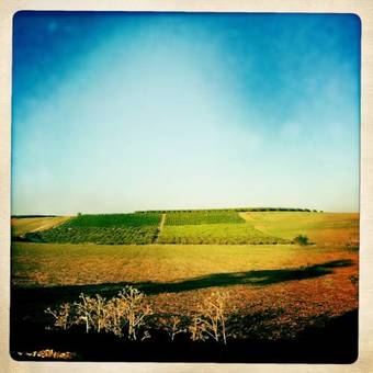 Hostal Tabor Land Guest House