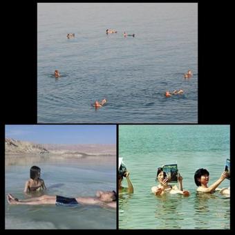 Lodge Nadia Hosting Dead Sea