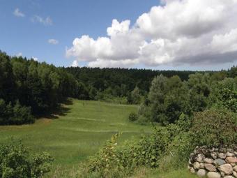 Holiday Home Waldstr. R