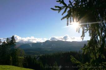 Ver fotos