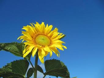 Agroturismo Bauernhof Unterh�fner