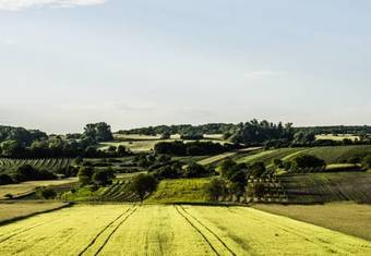 Hostal Gut Leithaberg