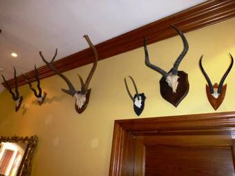 The Five Arrows Hotel