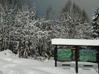 Apartment Apolon Planinski