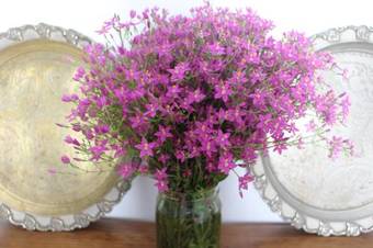 Agroturismo Casa Baraka