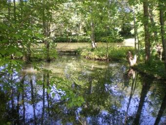 Bed & Breakfast Les Jardins D'ungaro / Manoir La Barri�re