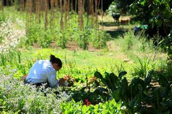 Hotel Auberge La Feni�re