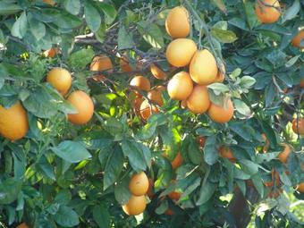 Apartamento Tommy's Rooms