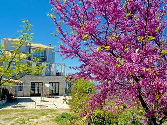 Apartamento Villa Matula