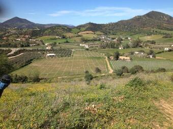 Agroturismo Agriturismo S'orgiola