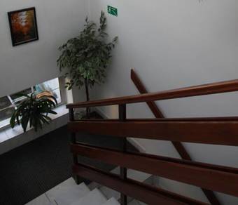 Hostal Penzion Jelen