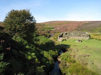 Hostal The Moorhouse