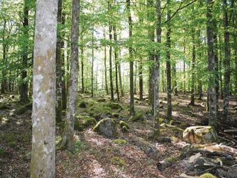 Holiday Home Loftsg�rd Hus Gislaved III