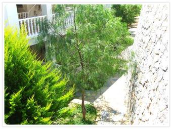 Apartamento Adastra Holiday Homes Bodrum Flamingo