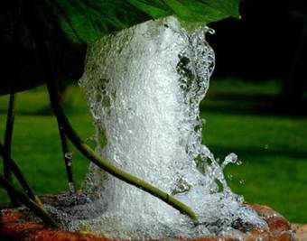 Agroturismo Finca La Vega