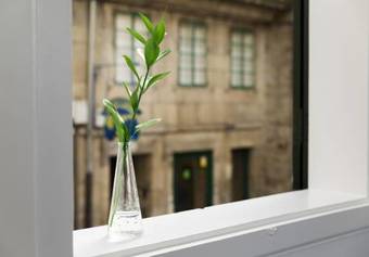 Hostal Pensi�n Rua Nova