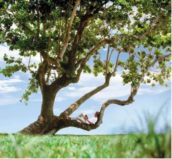 Hotel Shangri-la's Rasa Sayang Resort & Spa, Penang