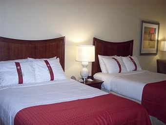 Hotel Holiday Inn Flint