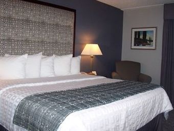 Holiday Inn Hotel & Suites Chicago-carol Stream (wheaton)