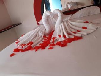 Hotel Y Cabinas Del Tr�pico