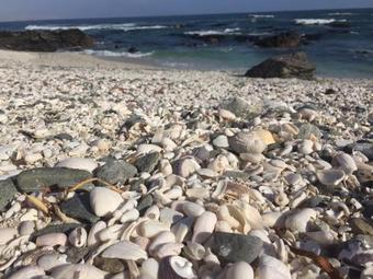 Apartamento Lodge -ekos De Mar