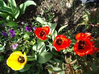 Hostal Casa Ra�ces