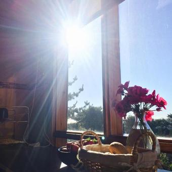 Lodge Puntasdelmaule Surfcamp