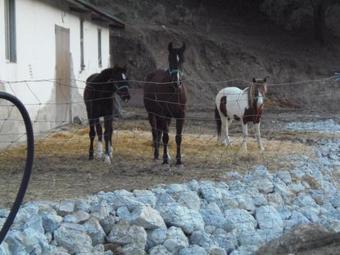 Agroturismo Cortijo Moyano