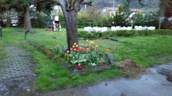 Apartamento Erotazahar1