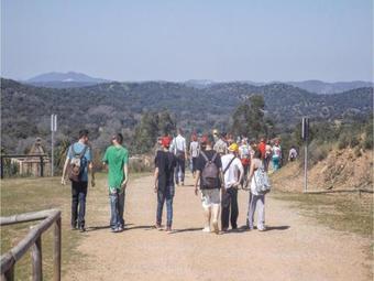 Two-bedroom Holiday Home In Constantina