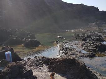 Sea Views Artist�s Cottage