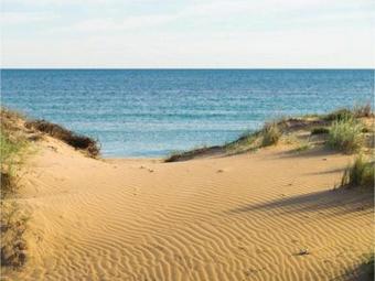 Two-bedroom Apartment In La Marina Del Pinet
