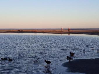 Apartamento First Line Luxury Penthouse With Own Swimming Pool In Its Solarium Close To The