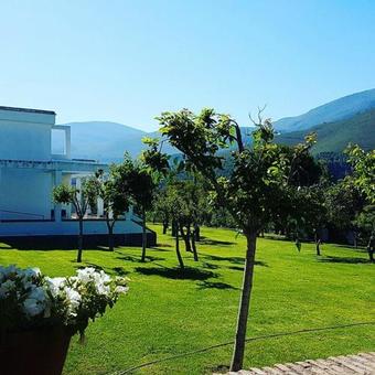 Hotel Taray Botanico